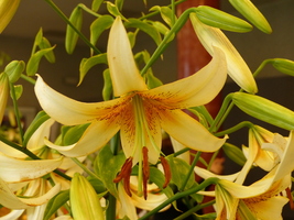 Foto: Dr. Peter Müller